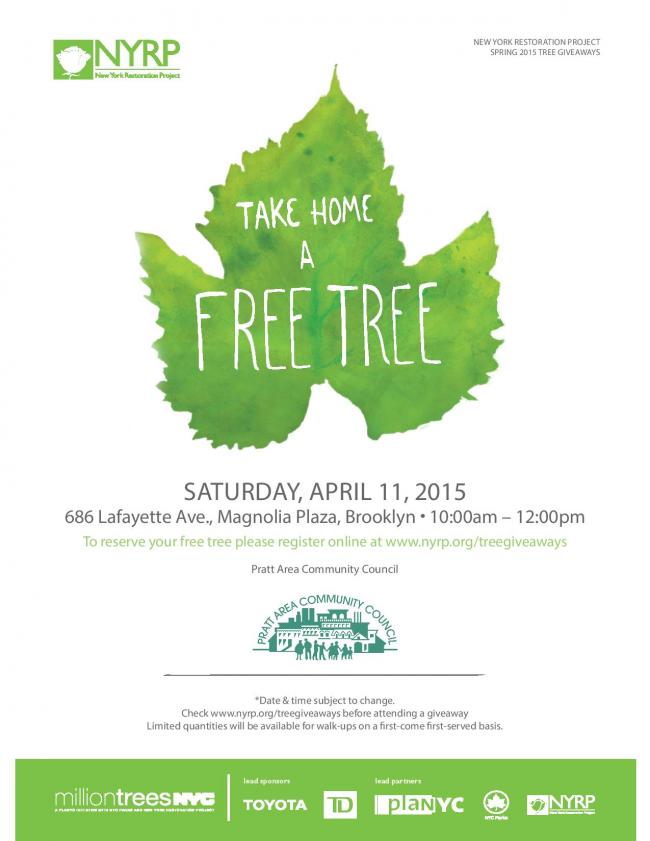 PACCspringtrees2015