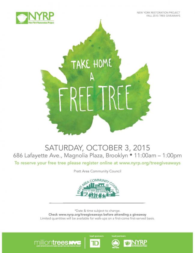 PACCfalltrees2015