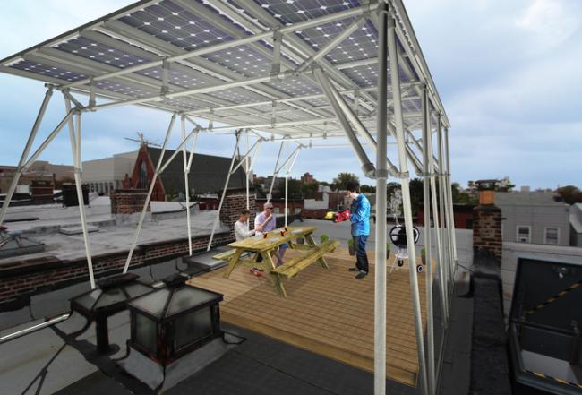 Canopy Rendering- BSW-1 Canopy Rendering- BSW-1