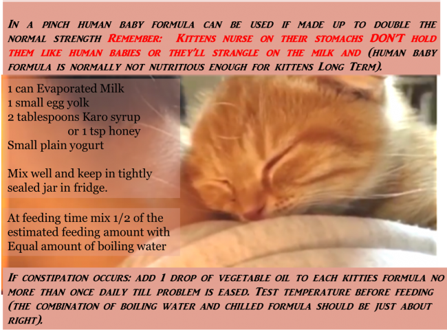 Orphan Kitten Emergency Formula