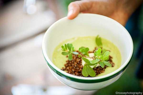 CucAvoSoupWEBsm