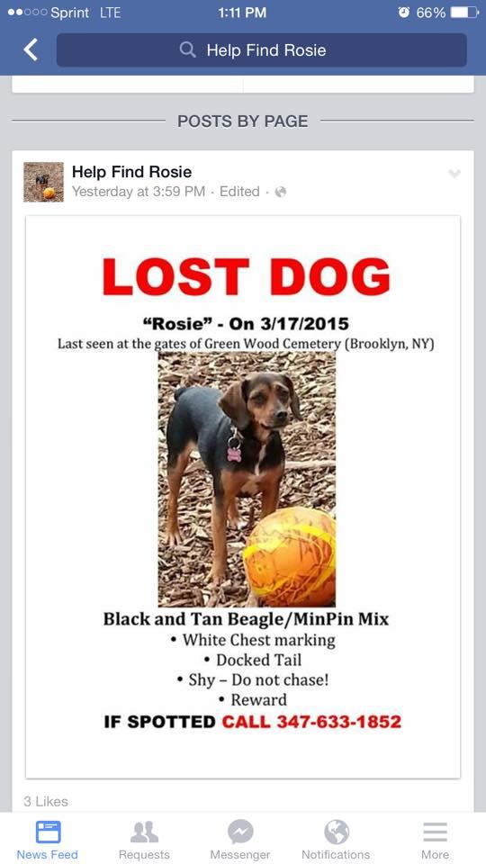 ROSIE LOST POSTER