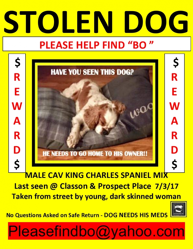 CAV STOLEN FLYER JPEG