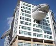 shark week