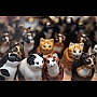 brooklynbridgeanimals