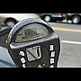 citydweller
