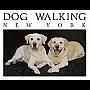 newyorkdogwalking